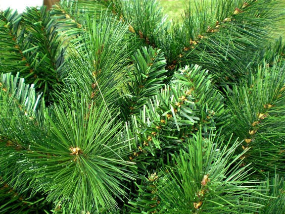 Nahaufnahme von kuenstlichen Tannenzweigen mit gruenen, unterschiedlich langen Nadeln. SLIM 210 cm