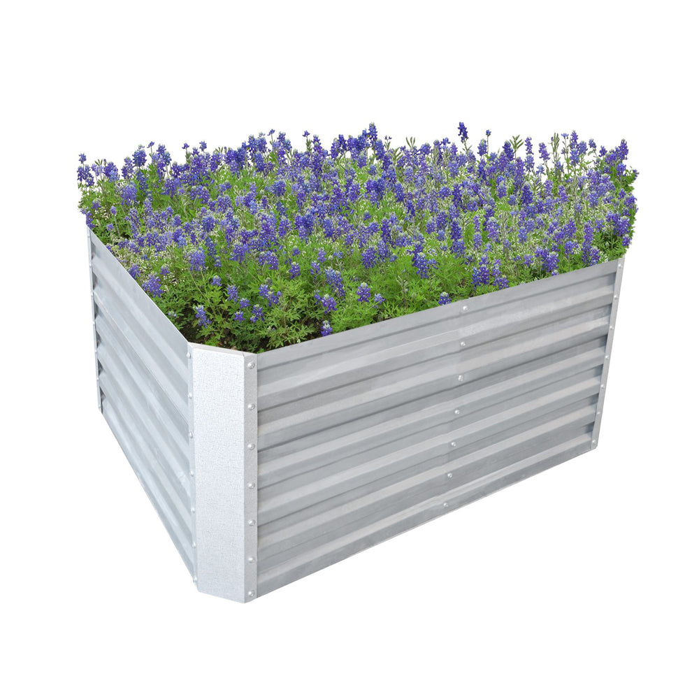 Rechteckiges Hochbeet aus Metall mit Lavendelbepflanzung, freigestellt auf weißem Grund.