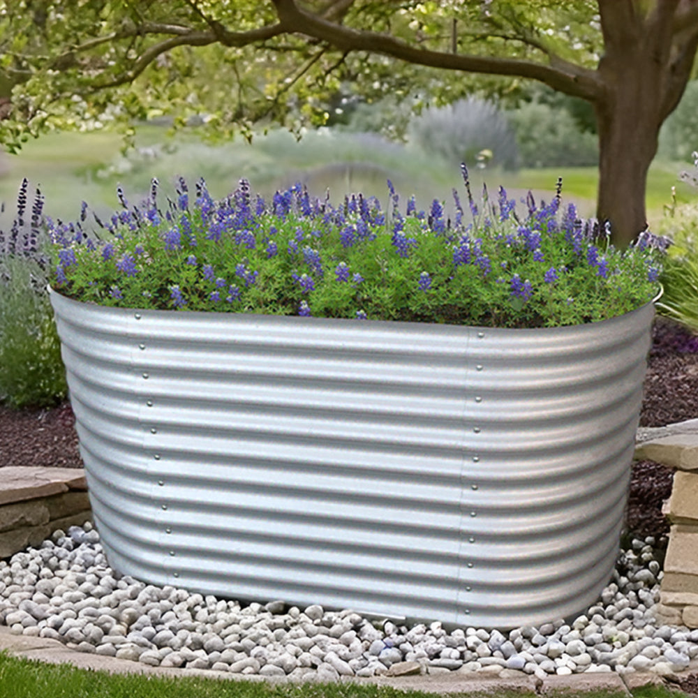 Ovales Hochbeet mit Lavendel, draußen unter einem Baum auf Kiesfläche platziert