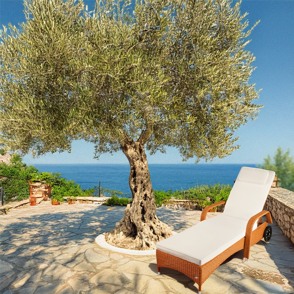 Natur Rattan-Liegestuhl mit Polster steht unter einem Baum und Meerblick.