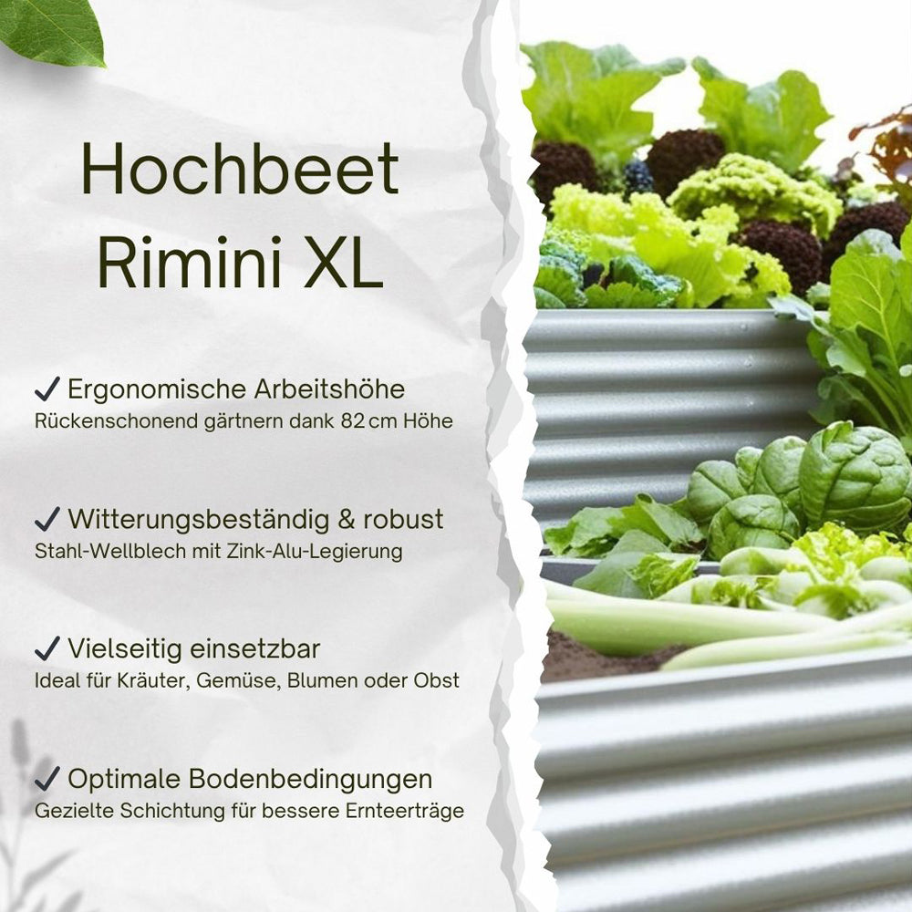 Infografik „Hochbeet Rimini XL“ mit Vorteilen wie Arbeitshöhe, Robustheit und Bodenbedingungen.