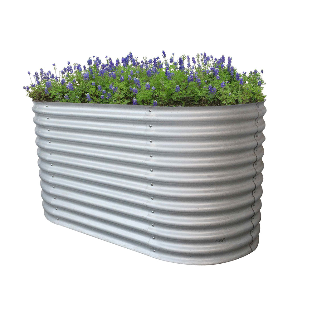Ovales Hochbeet mit Lavendel bepflanzt, aus silbernem Stahl-Wellblech, freigestellt.1